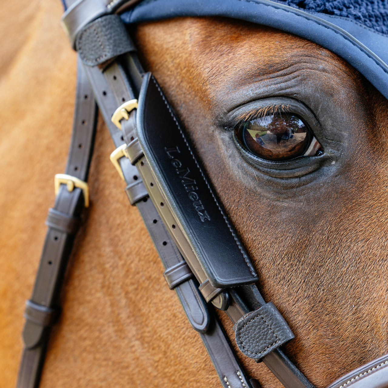 Lemieux Leather Bridle Blinkers