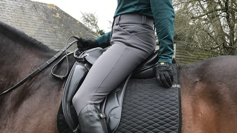 Lemieux Drytex Waterproof Breeches