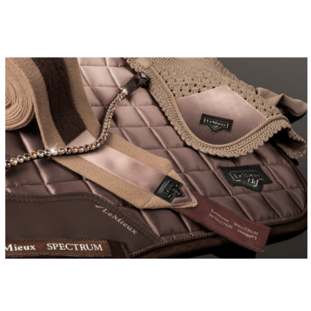 Le Mieux Spectrum Diamante Browband