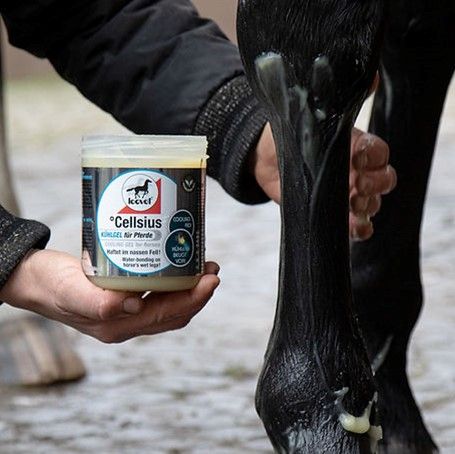 Leovet Cellsius Gel 600 ml