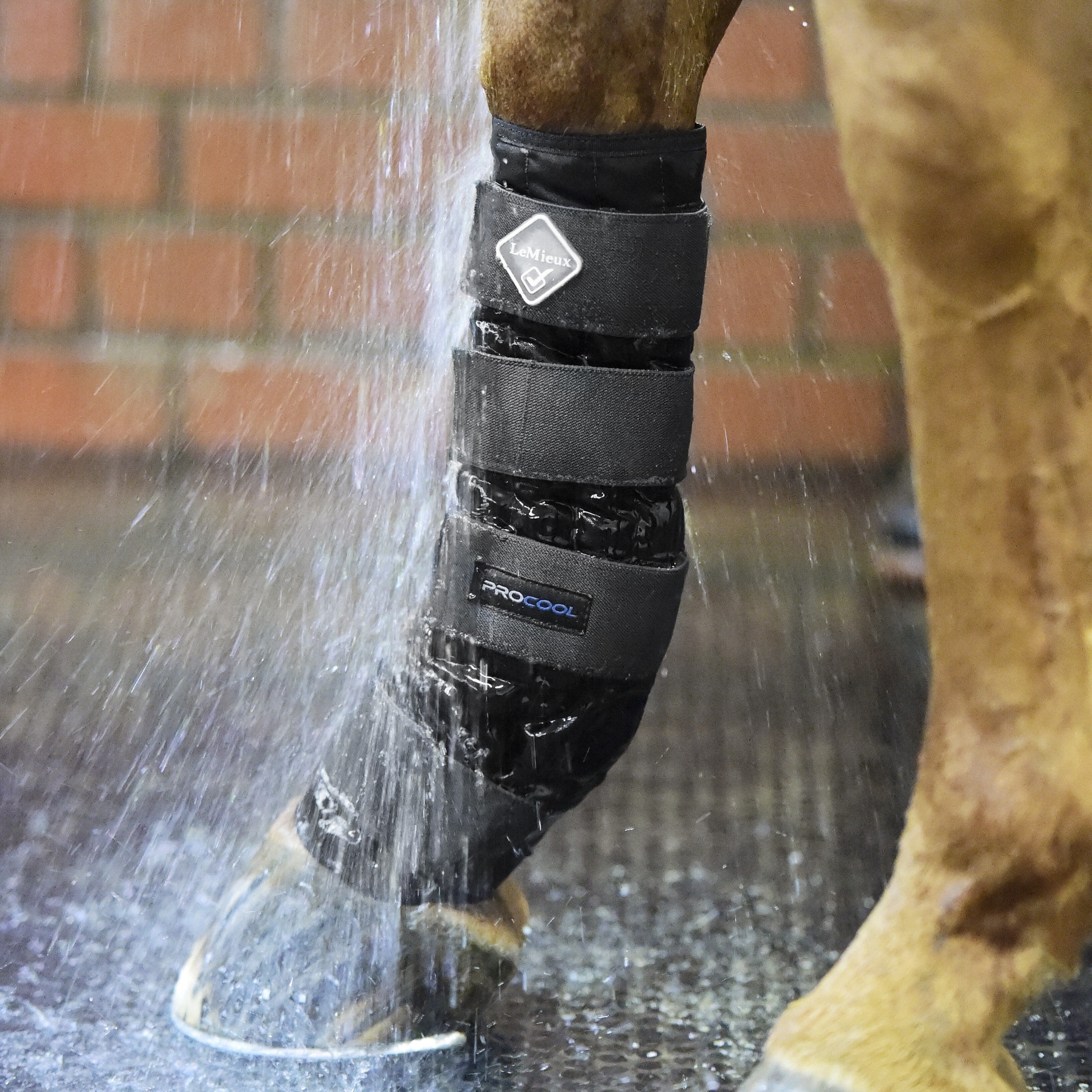 Le Mieux Cold Water Boots