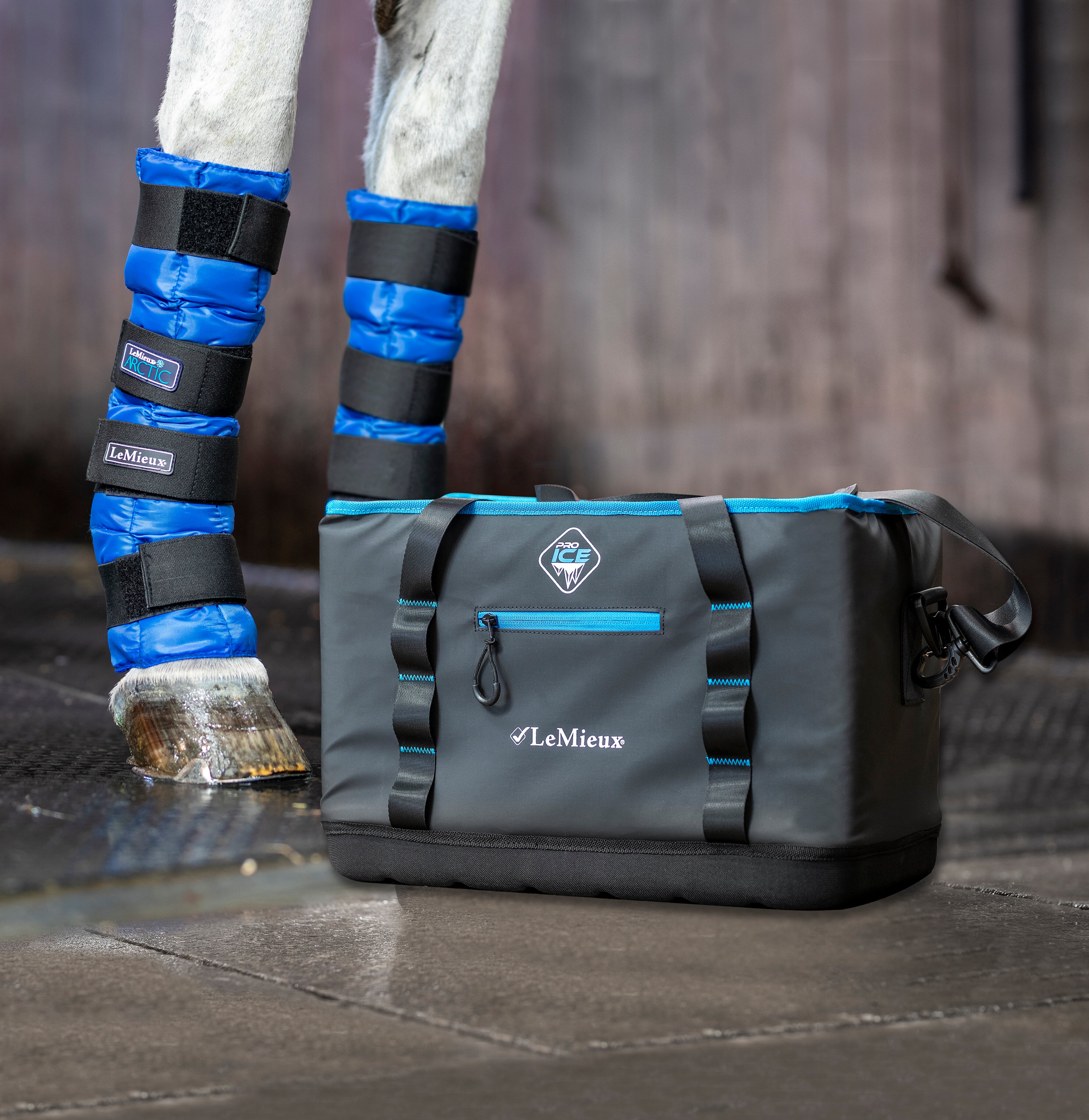 Le Mieux Pro Ice Cooling Bag