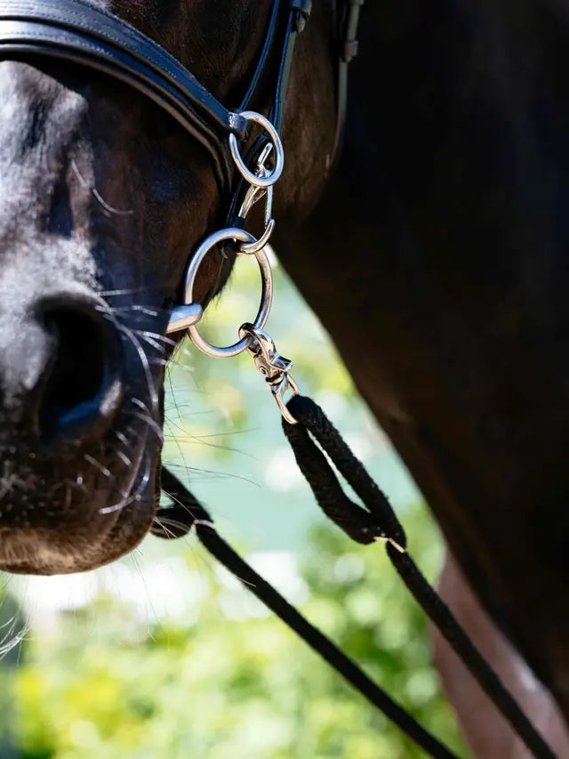 Lemieux Rope Lunging Aid