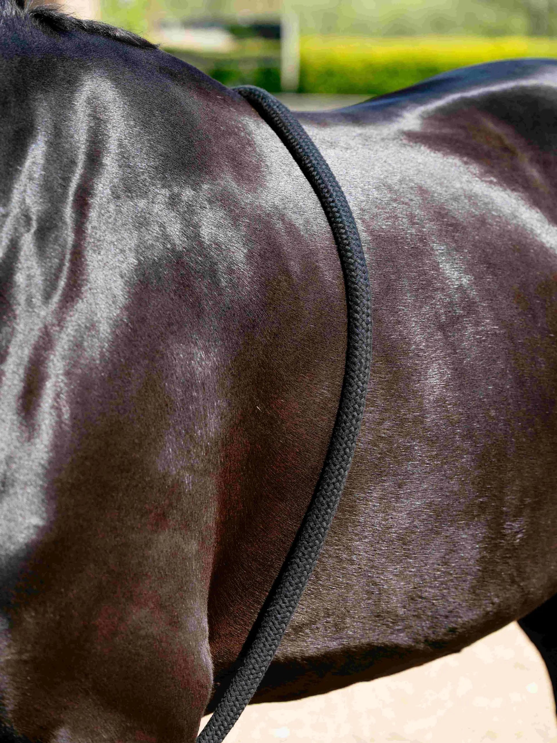 Lemieux Rope Lunging Aid