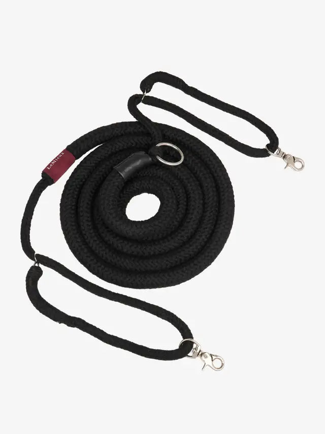 Lemieux Rope Lunging Aid