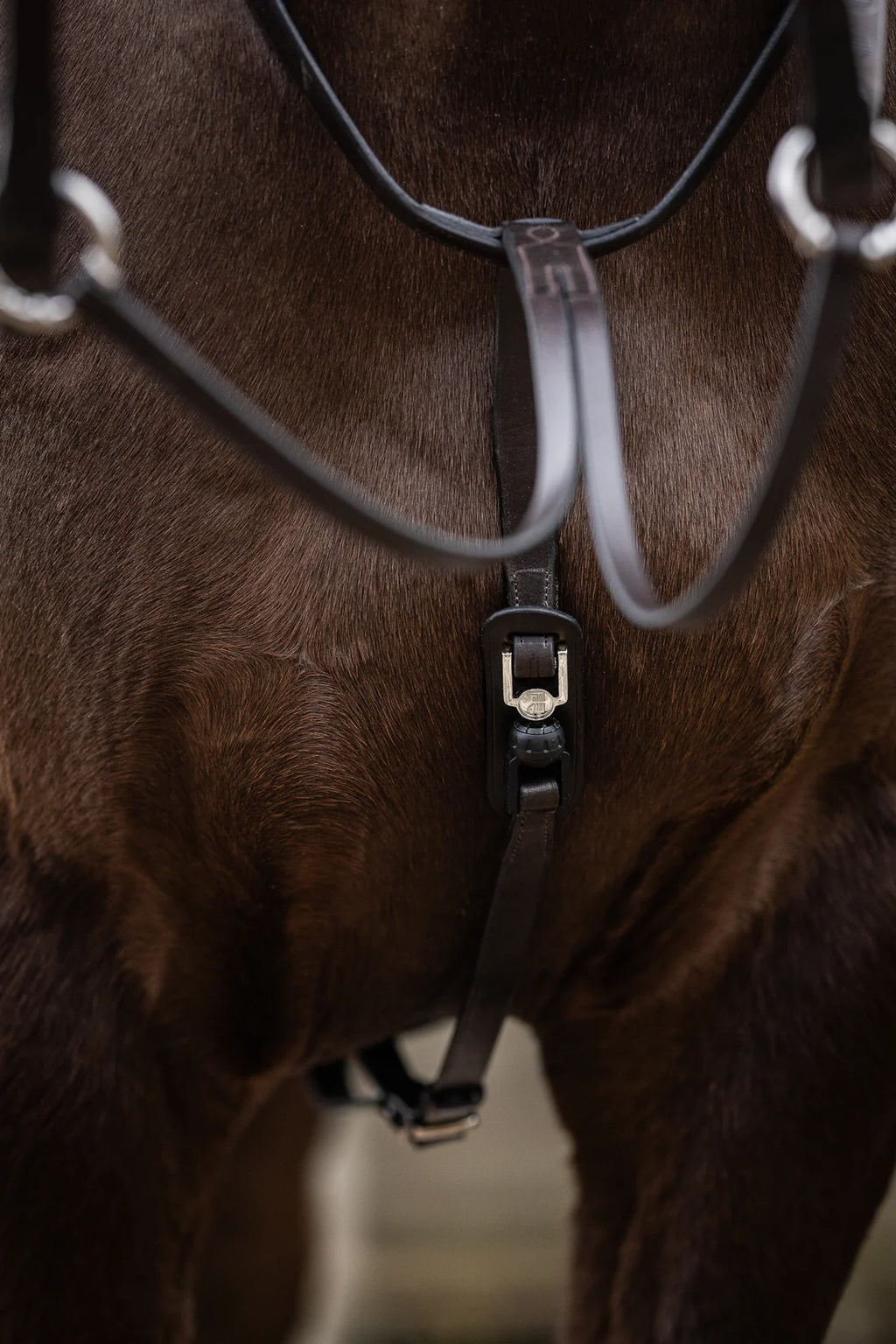 FR Vincitoire Martingale