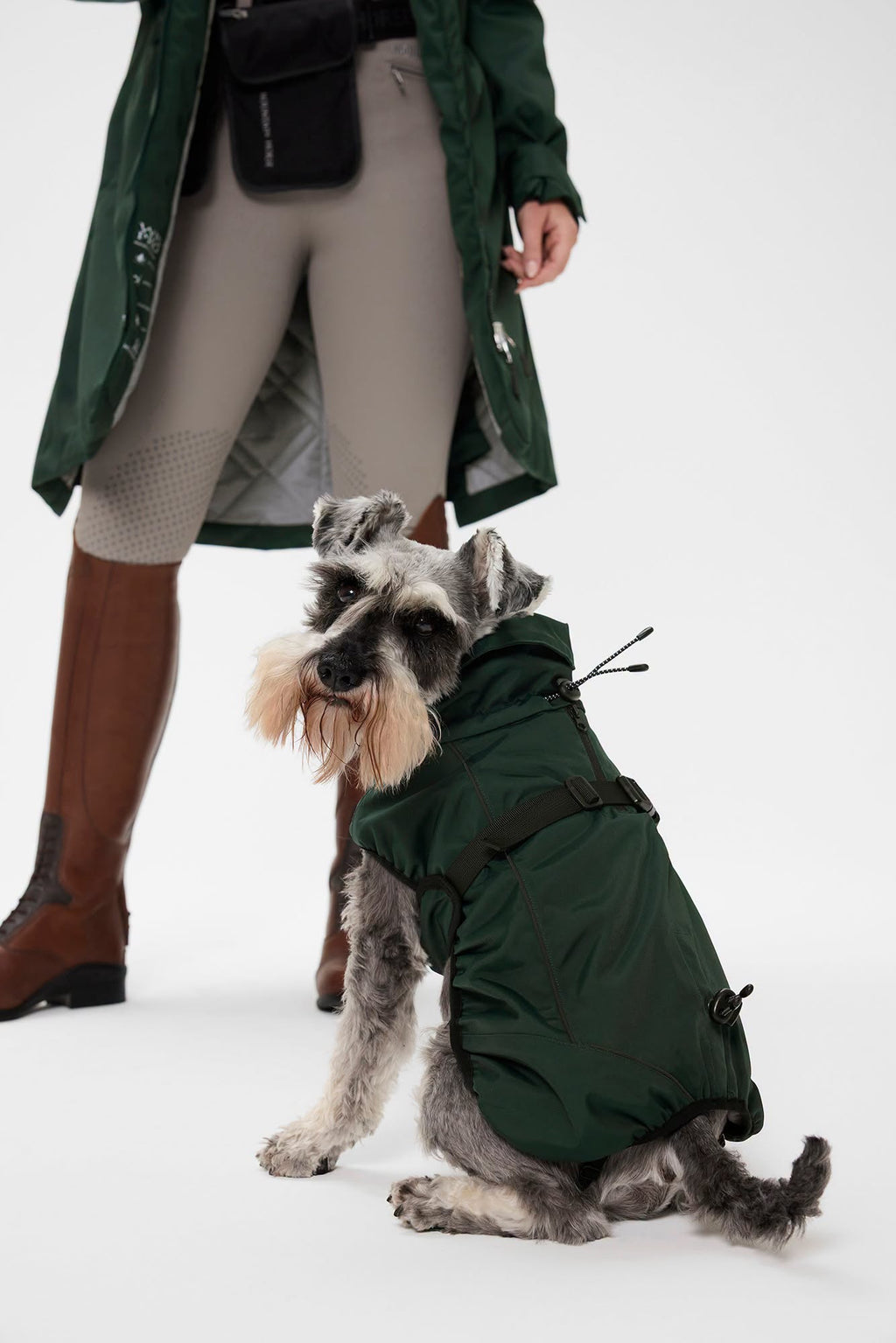 Mountain Horse Grace Dog Jacket