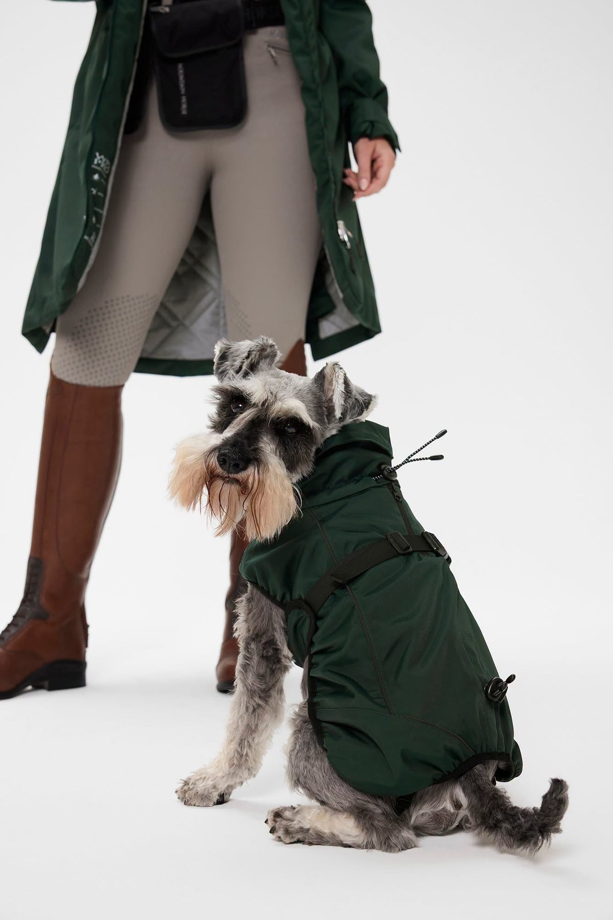 Mountain Horse Grace Dog Jacket