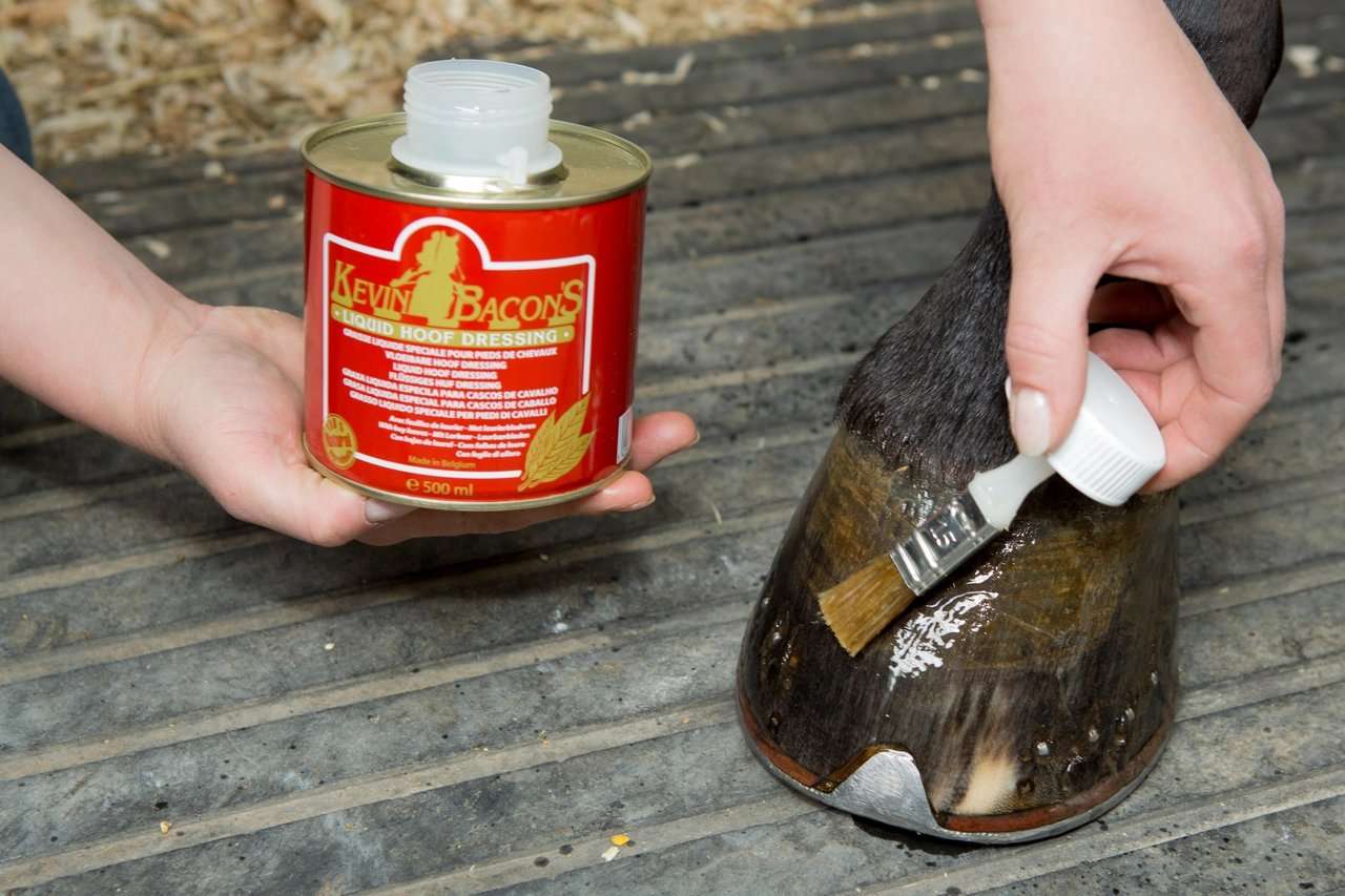 Kevin Bacons Liquid Hoof Dressing 500 ml