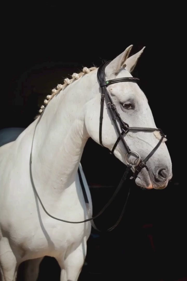 Ultra Comfort Galway Grackle Bridle