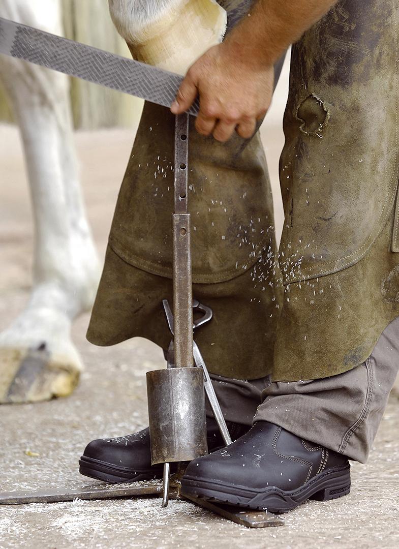 Mountain Horse Protective Jodphur Boots