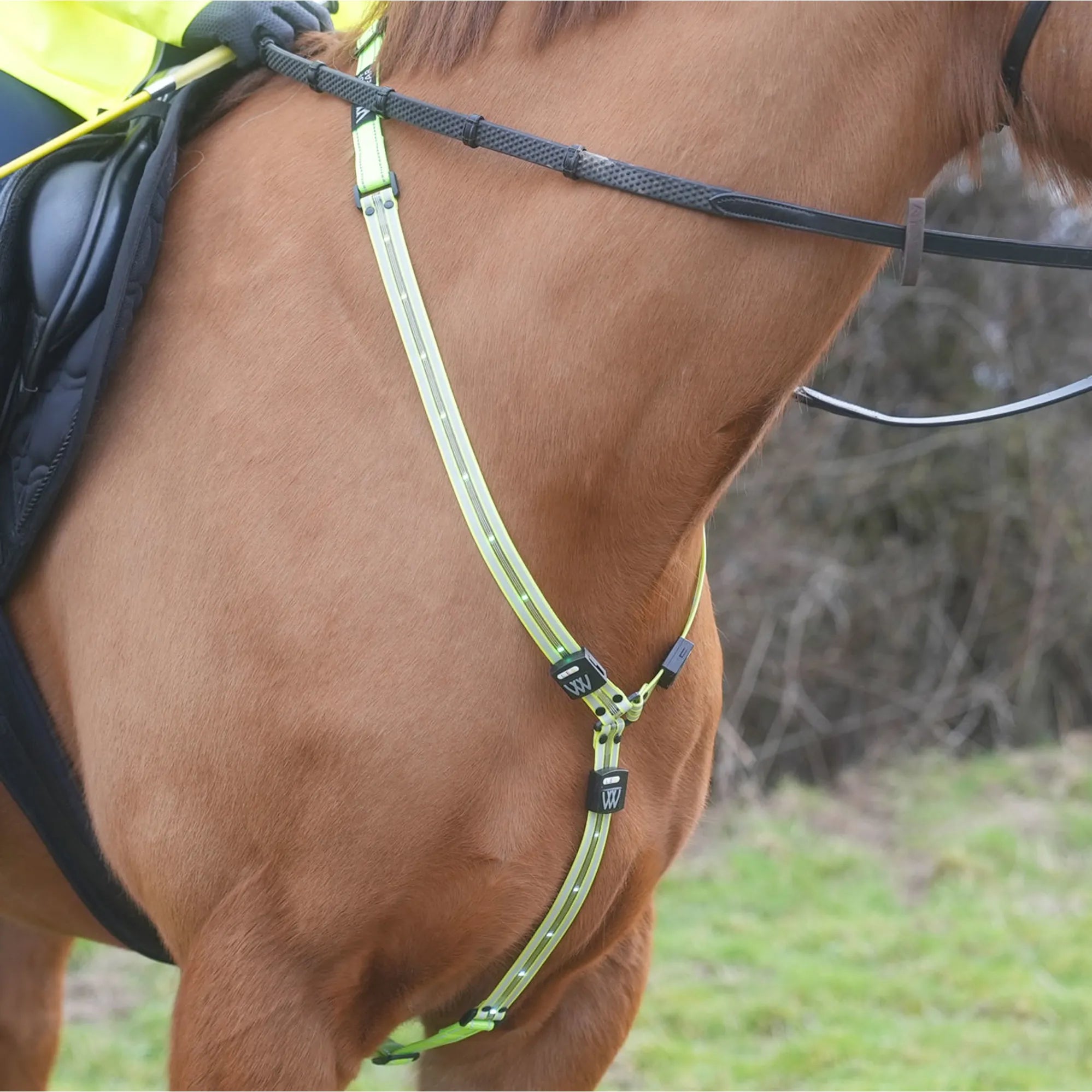 Woof Wear Led Neckband