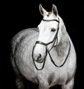 Micklem Bitless Bridle