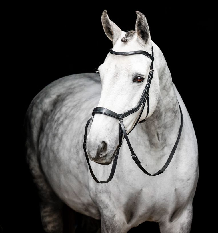 Micklem Bitless Bridle