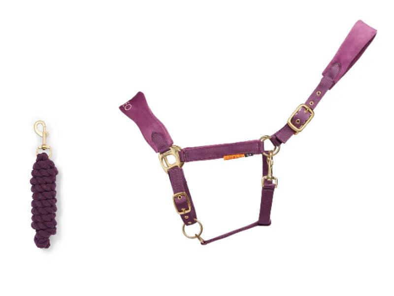 Cameo Suede Elite Headcollar & Leadrope