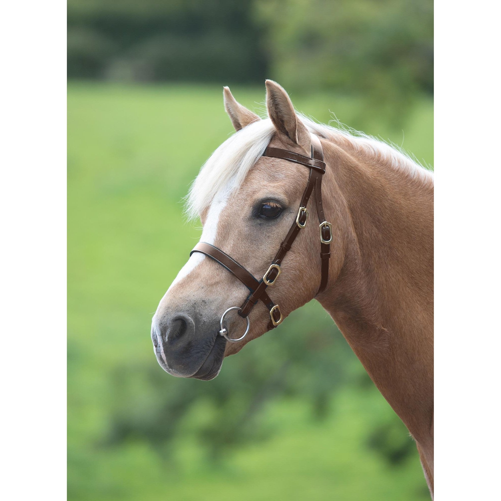Shires Velociti Gara Plain Hand Bridle