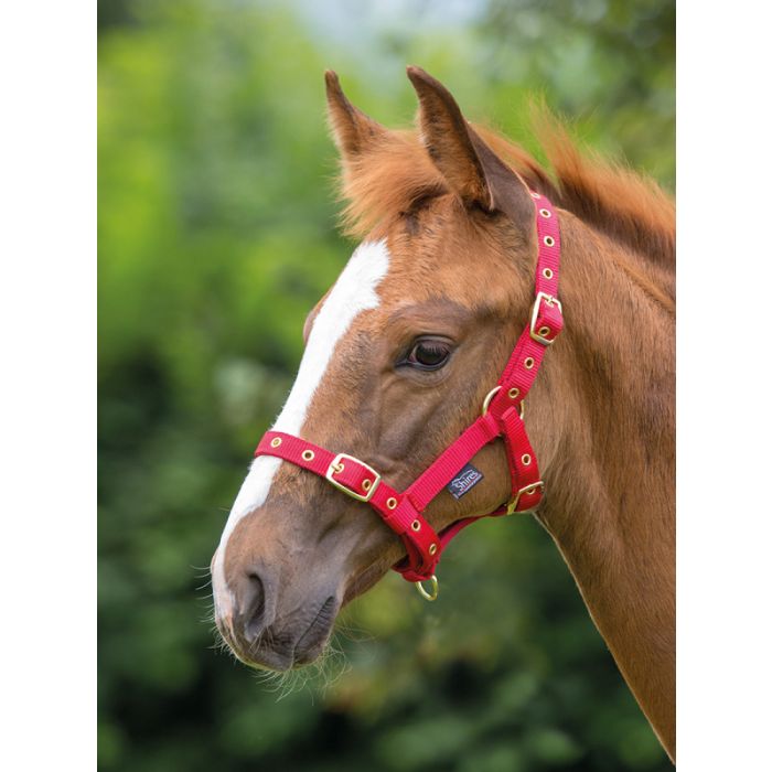 Shires Nylon Foal Headcollar