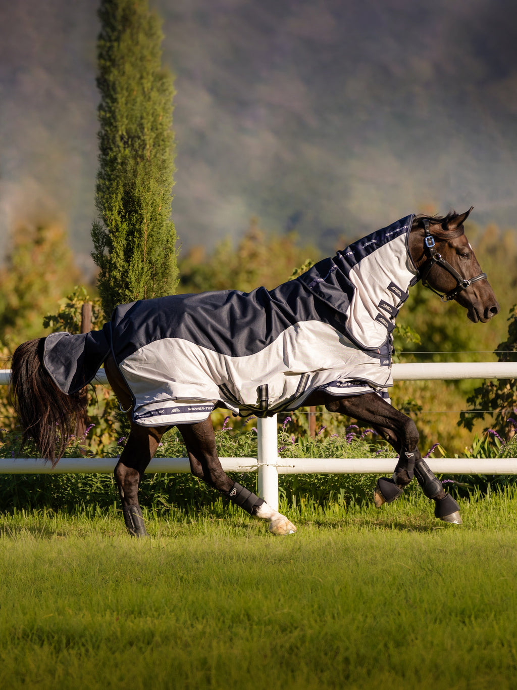 Le Mieux Arika Shower-Tek Fly Rug