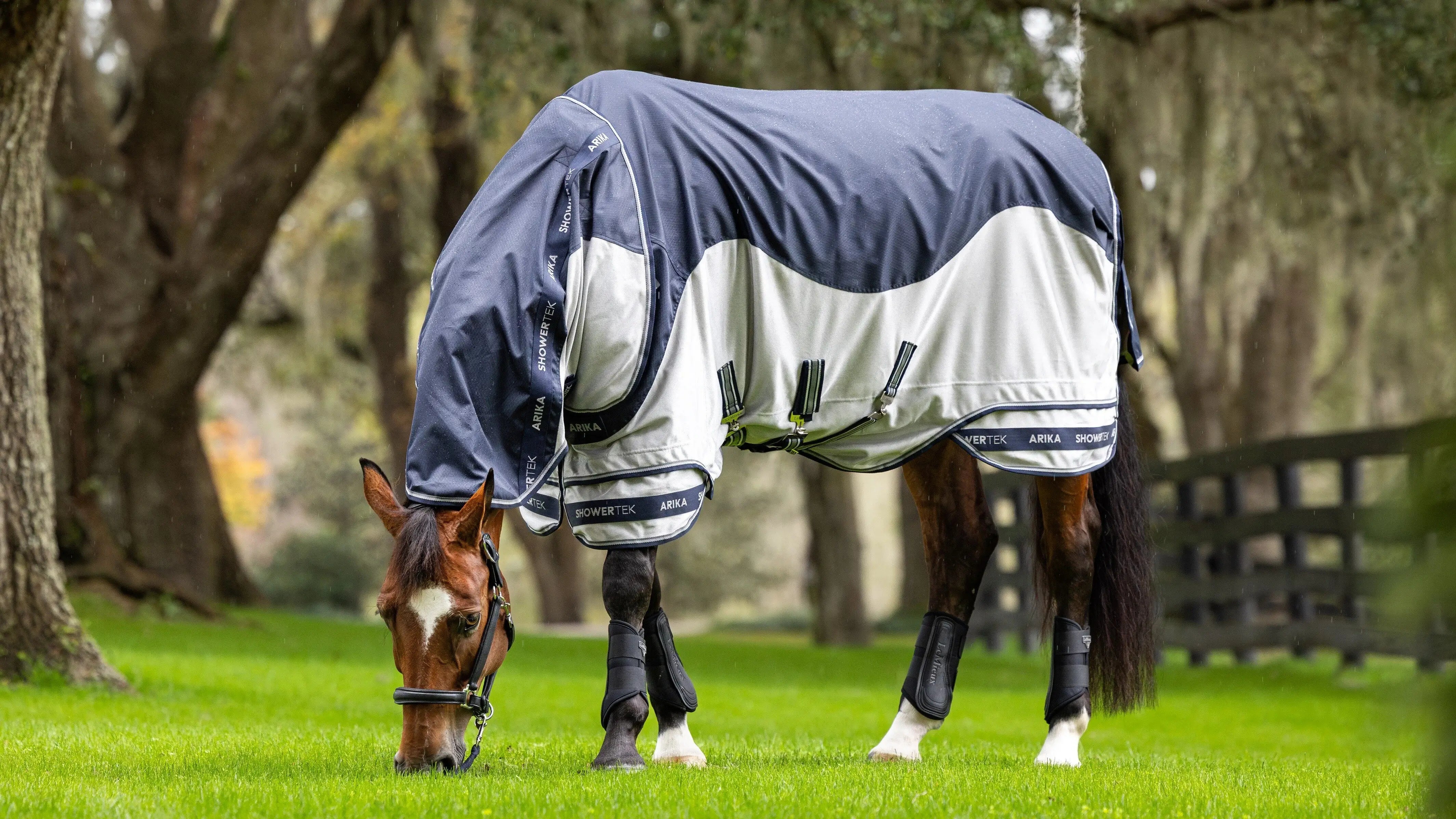 Horse wearing a blue and white fly sheet in a grassy area with trees.