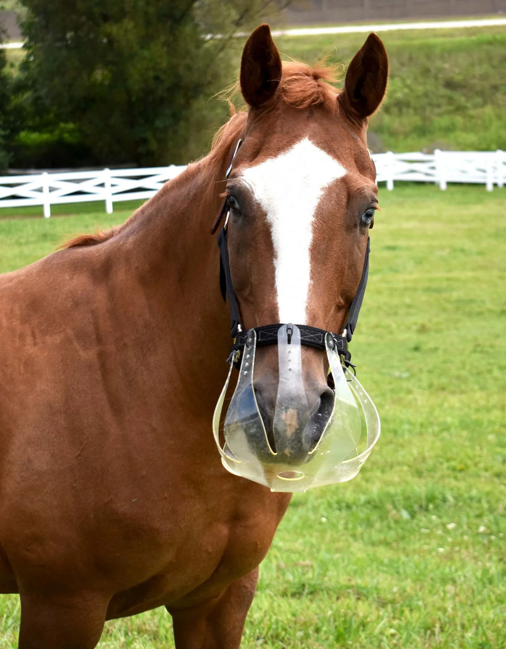 Thinline Flexible Grazing Muzzle 3.5cm Hole