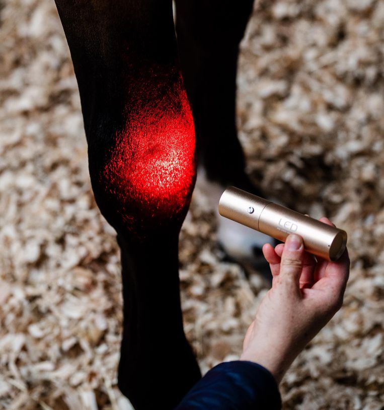 Horsware Led Red Light Therapy Wand