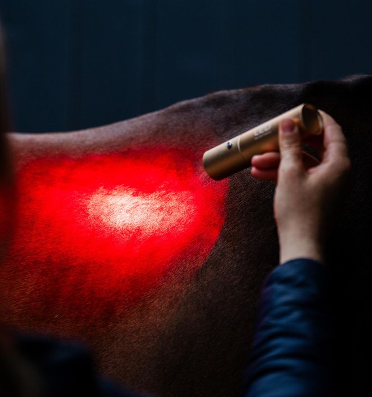 Horsware Led Red Light Therapy Wand