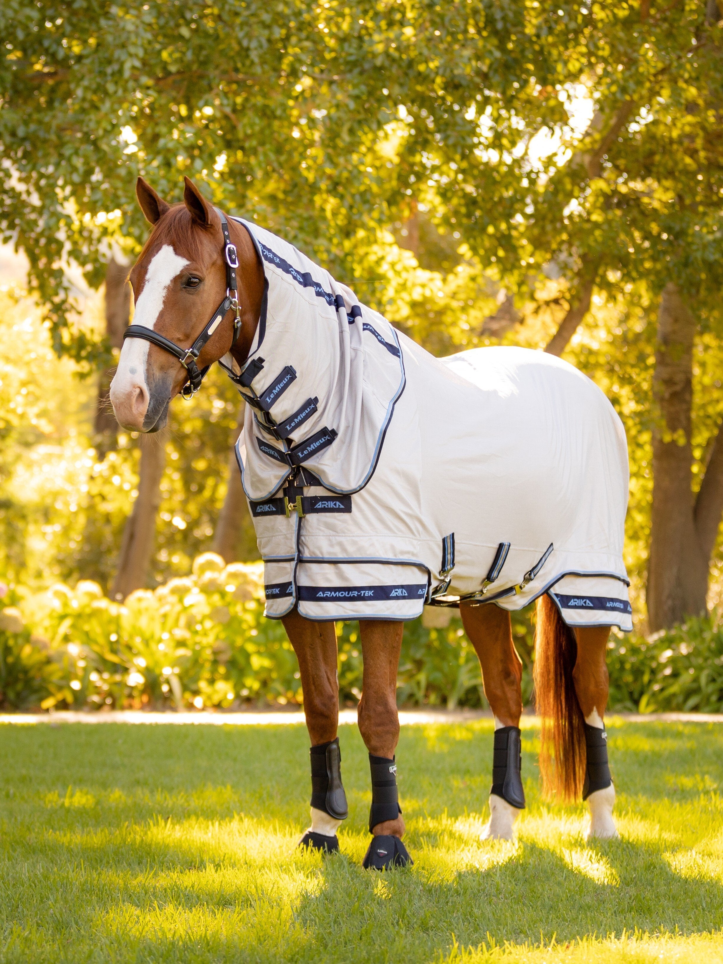 Le Mieux Arika Armour-Tek Fly Rug
