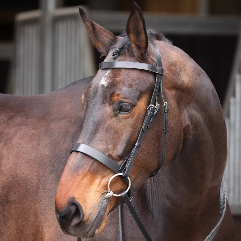 Velociti Gara Plain Bridle
