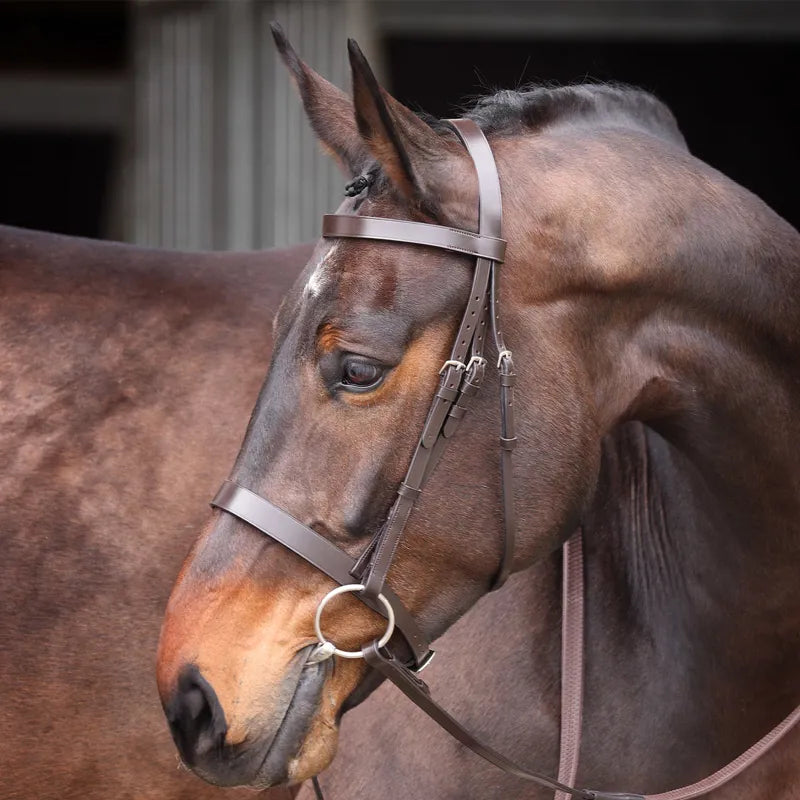 Velociti Gara Plain Bridle