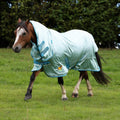 Winnie & Me Fly Combo Rug Blue