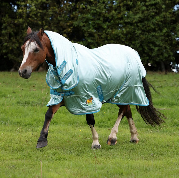 Winnie & Me Fly Combo Rug Blue