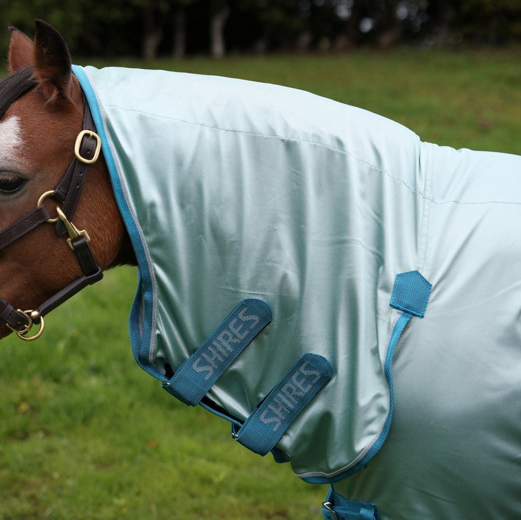 Winnie & Me Fly Combo Rug Blue