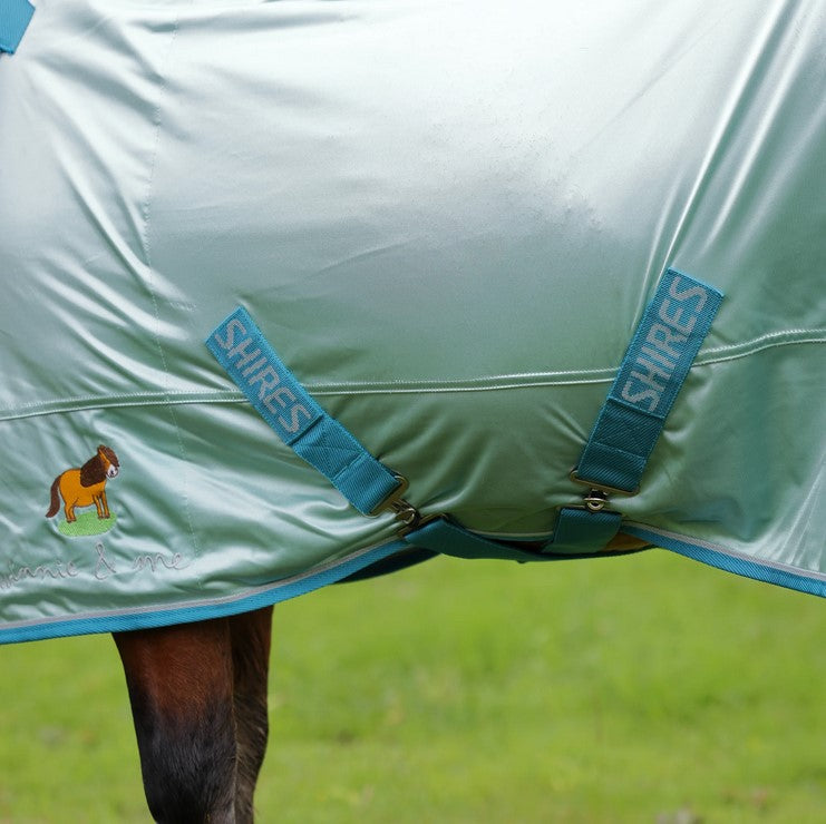 Winnie & Me Fly Combo Rug Blue