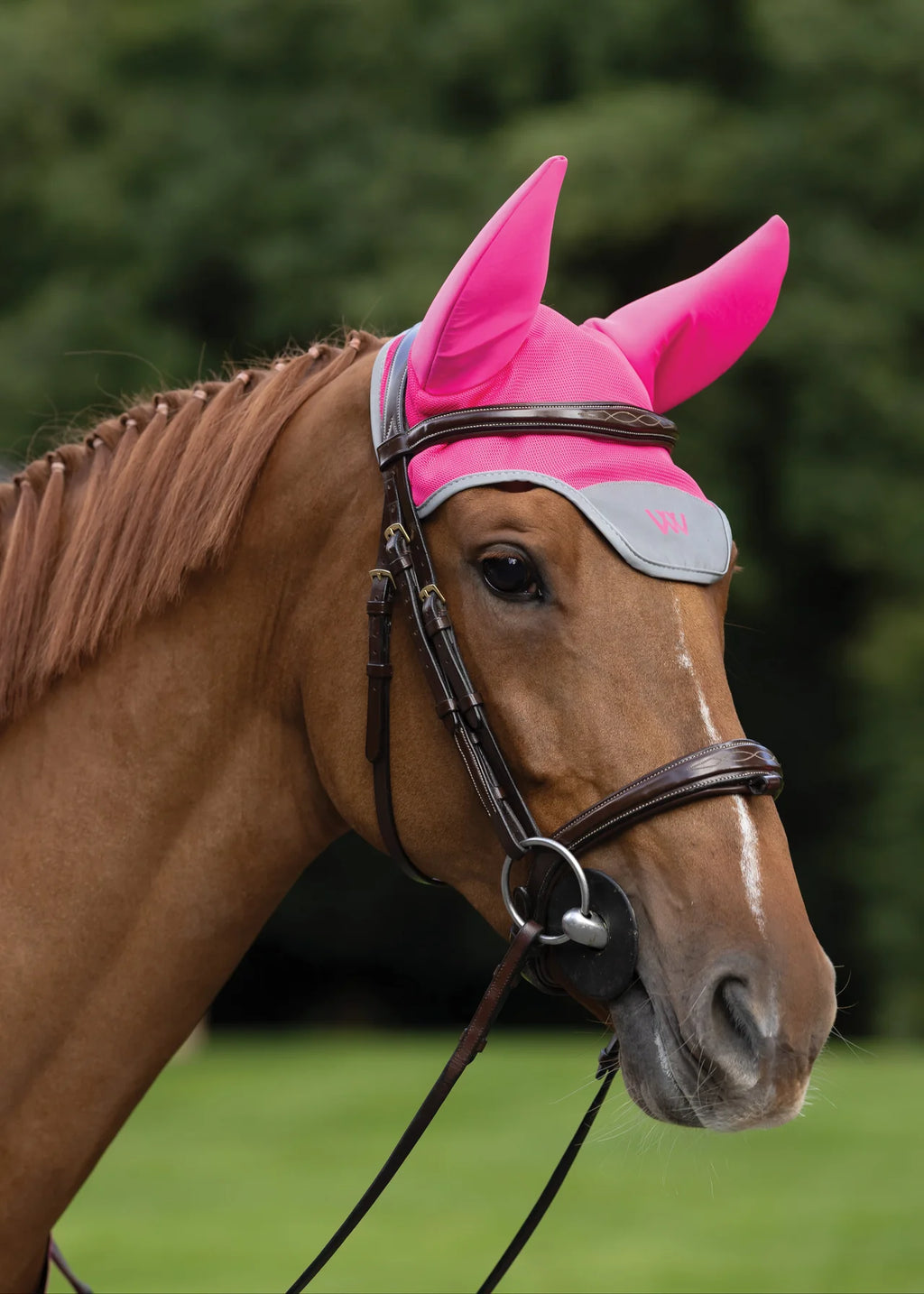 Woof Wear Noise Cancelling Fly Veil Hi Vis