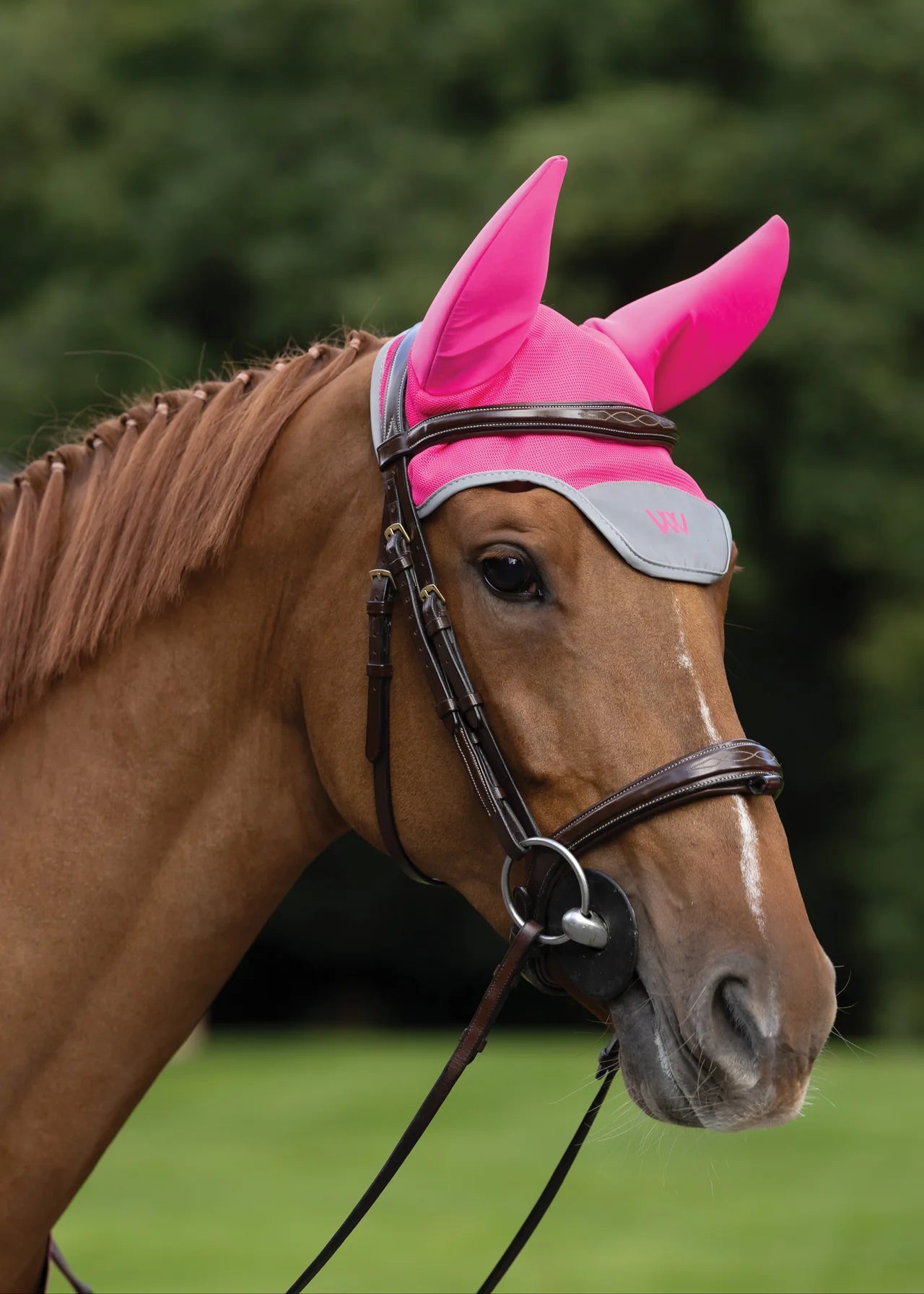 Woof Wear Noise Cancelling Fly Veil Hi Vis