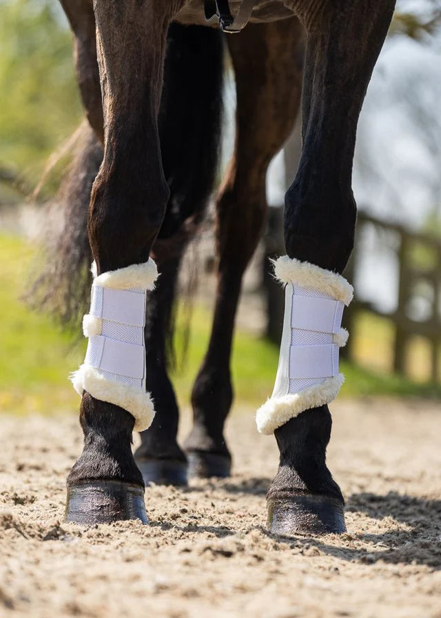 Woof Wear Vision Elegance Brushing Boot